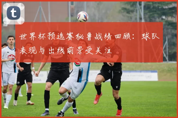 世界杯预选赛秘鲁战绩回顾:球队表现与出线前景受关注
