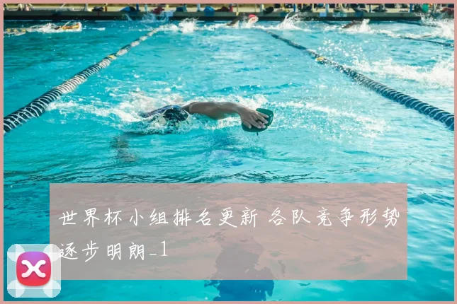 世界杯小组排名更新 各队竞争形势逐步明朗_1