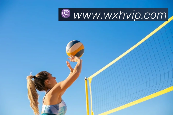 多媒体互动体验